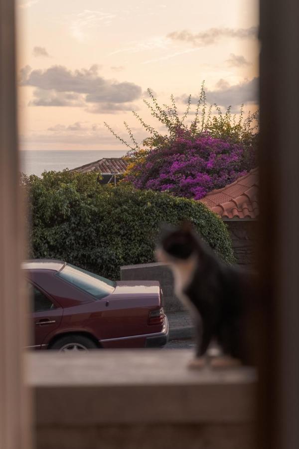 ジャルディン・ド・マール Casa Da Pitangaヴィラ エクステリア 写真